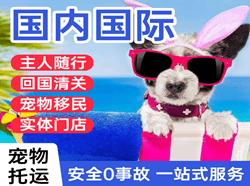 周水子航空运输国际宠物托运 【国